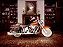 Harley