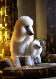 JY4D0564a5x7