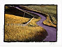 winding road
