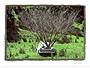 tree in car