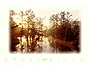 wolf river