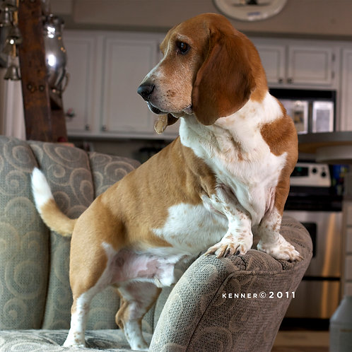 Do I hear the Postman?