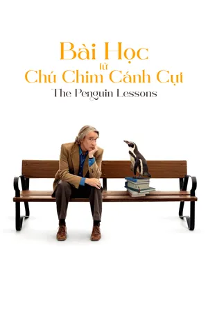 Bài Học Từ Chú Chim Cánh Cụt