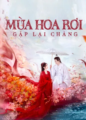 Mùa Hoa Rơi Gặp Lại Chàng