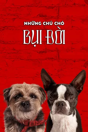 Đời Chó Hoang